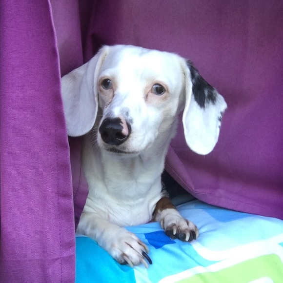 ⚠️ CAUTION! ⚠️ - Picture 2 of 7